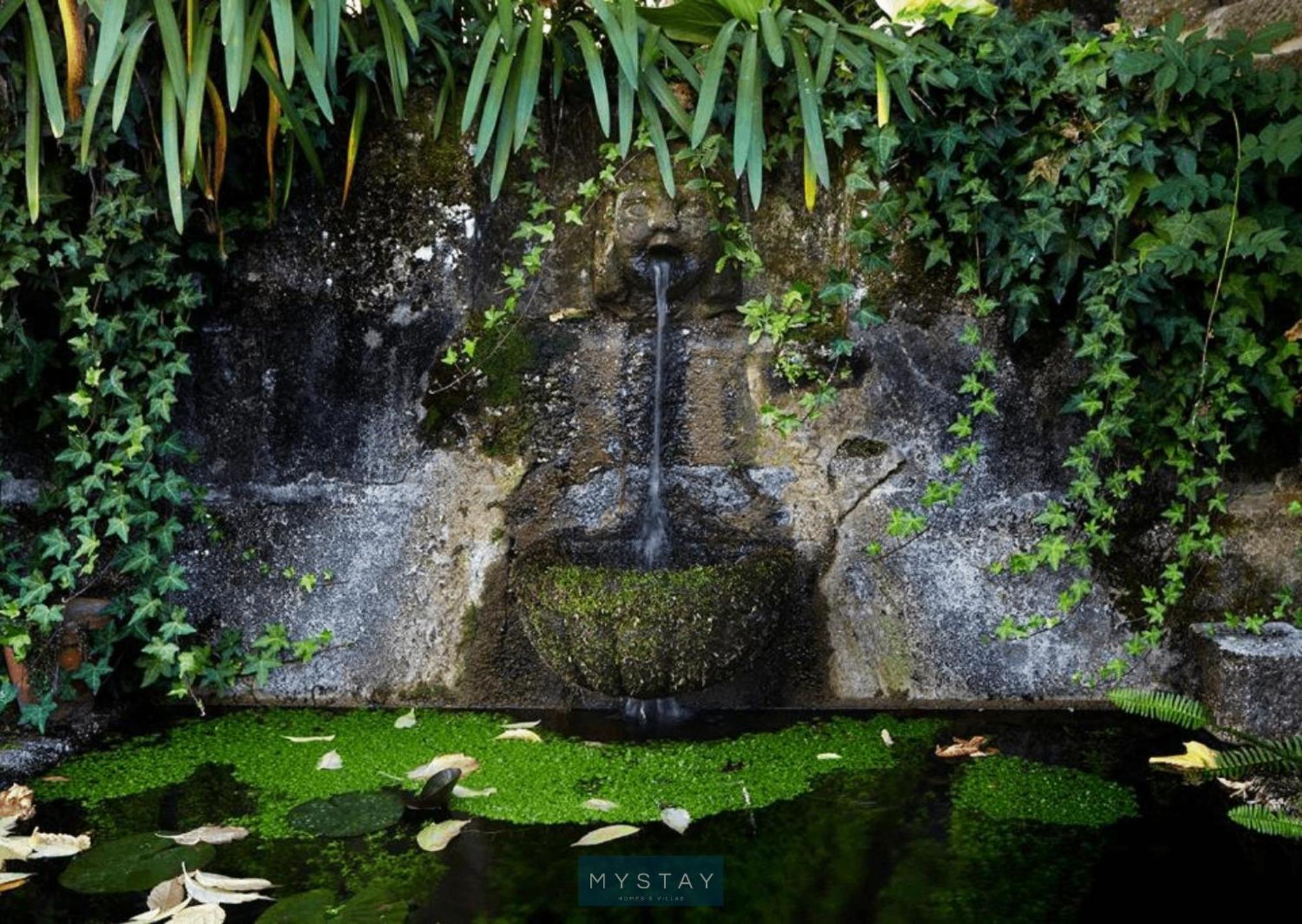 Mystay - Quinta Da Balanca Terras de Bouro Exteriör bild